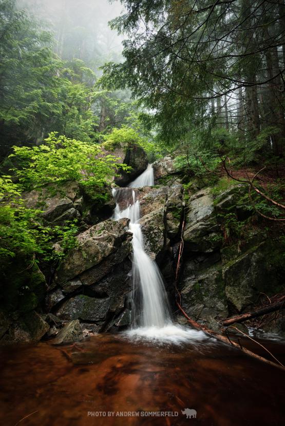 Allan Creek (1 of 2) by Andrew Sommerfeld