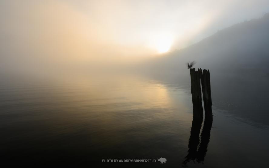 Good Morning, Barnet Fog (2 of 2) by Andrew Sommerfeld