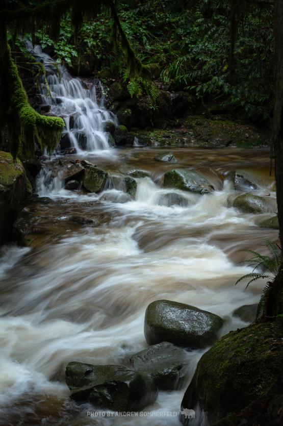 Side Falls by Andrew Sommerfeld