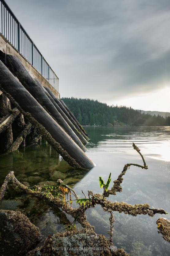 Barnacleized by Andrew Sommerfeld