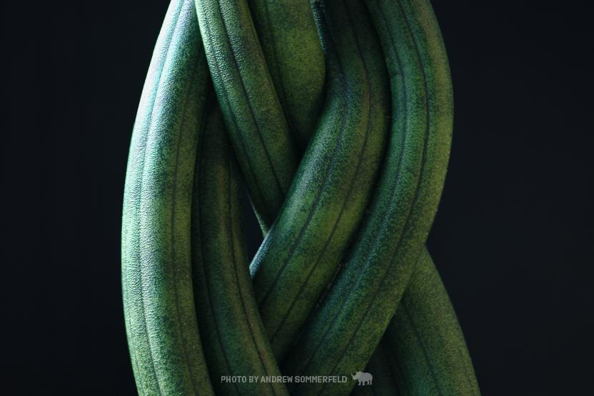 Braids by Andrew Sommerfeld