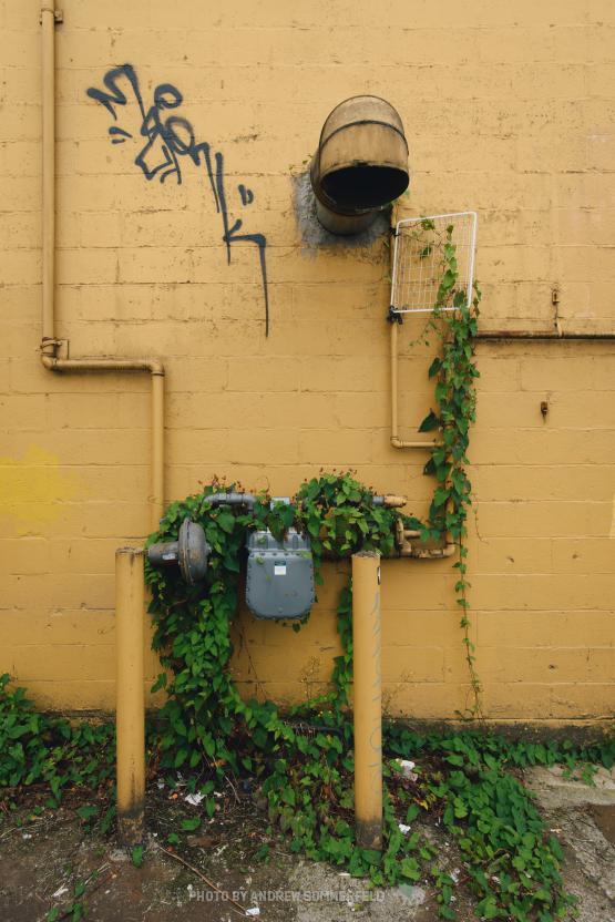 Competing Graffiti by Andrew Sommerfeld