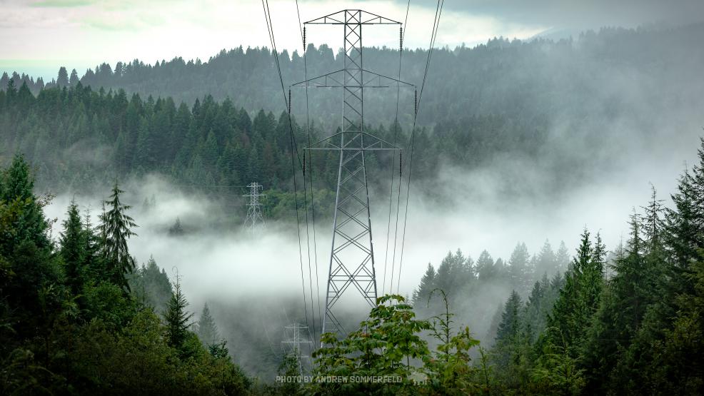 Follow The Line by Andrew Sommerfeld