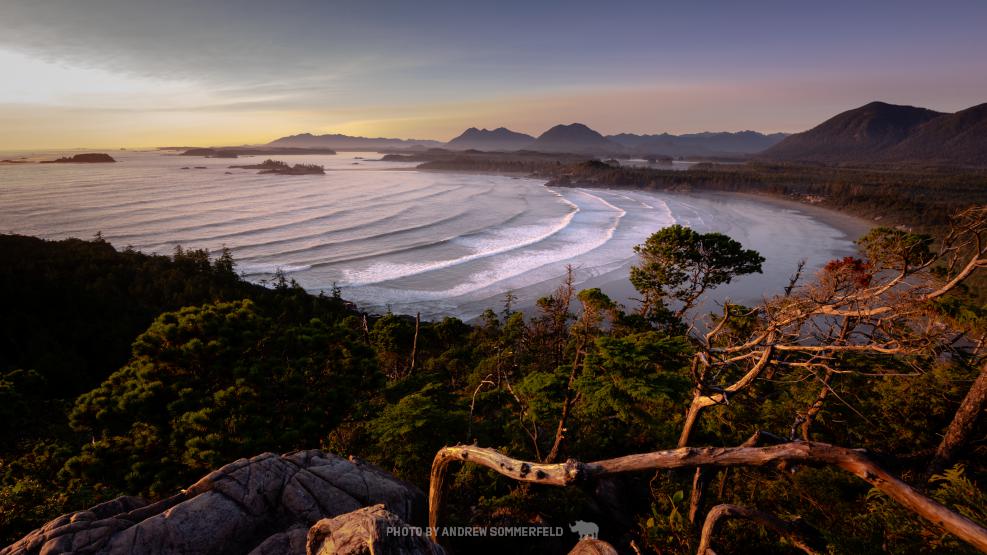 Good Evening, Cox Bay by Andrew Sommerfeld