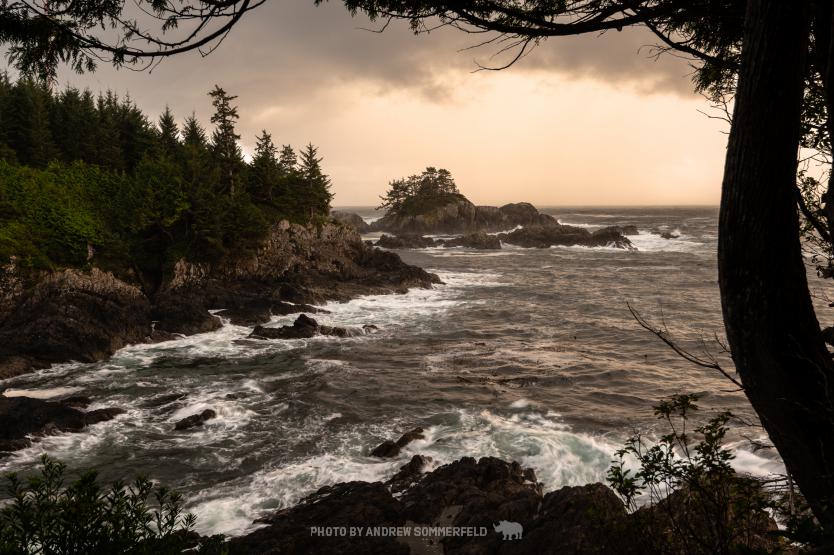 Good Evening, Inspiration Point by Andrew Sommerfeld