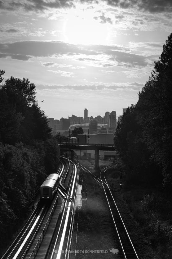 Good Evening, Millenium Line by Andrew Sommerfeld