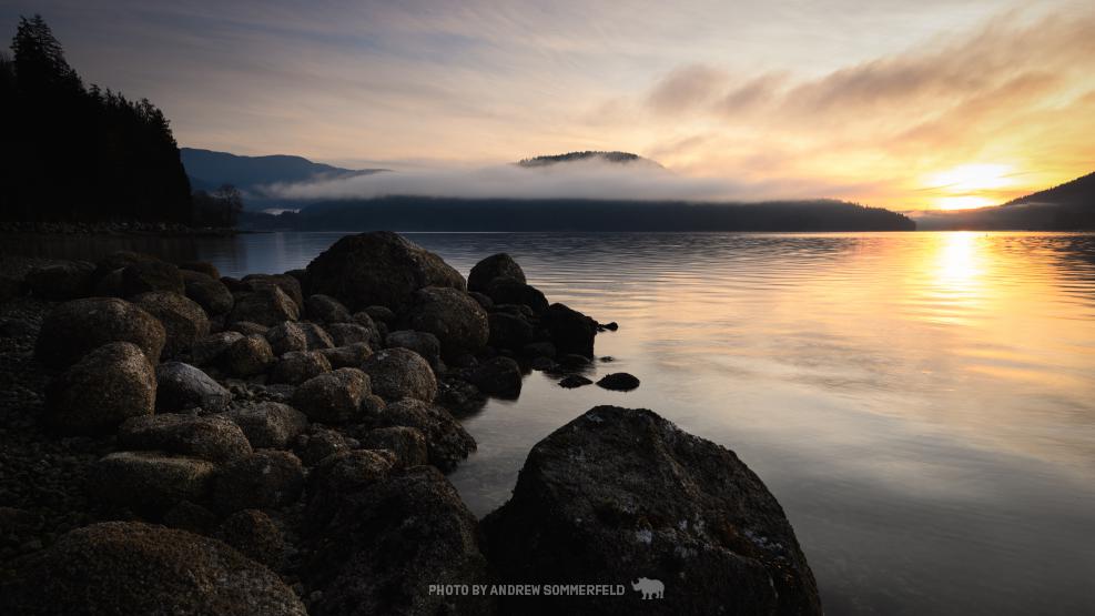 Good Morning, Barnet by Andrew Sommerfeld