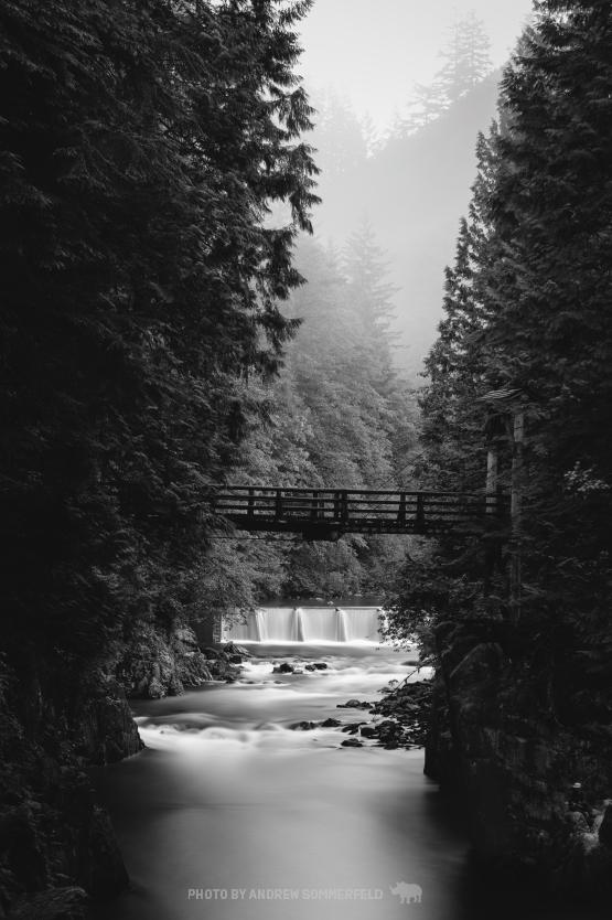 Good Morning, Coho Loop by Andrew Sommerfeld