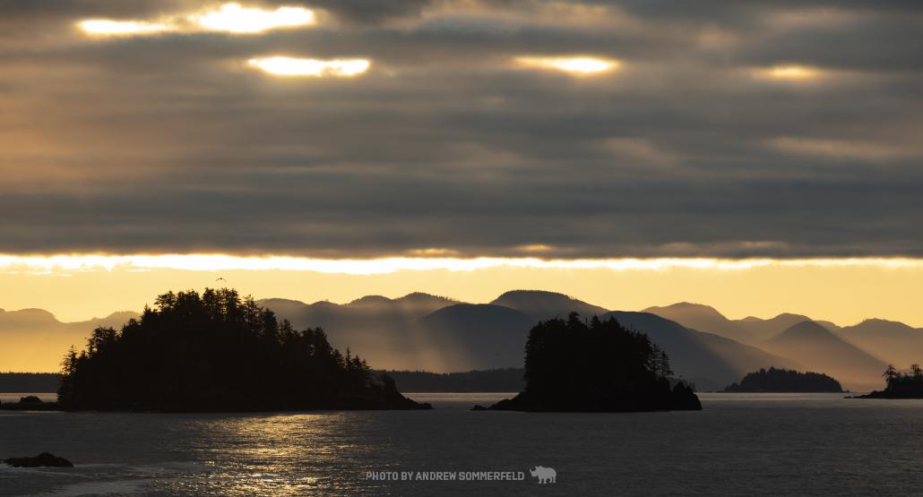 Good Morning, Crazy Rays by Andrew Sommerfeld