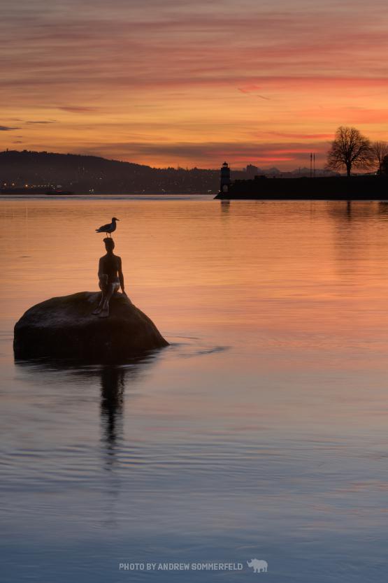 Good Morning, Girl in a Wetsuit by Andrew Sommerfeld