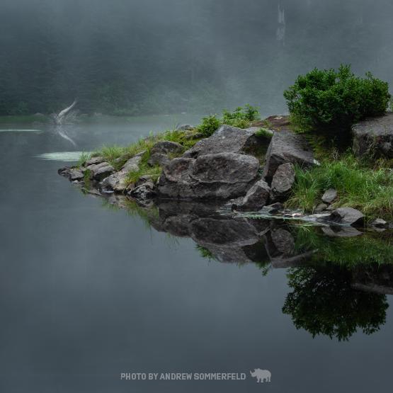 Good Morning, Goldie by Andrew Sommerfeld