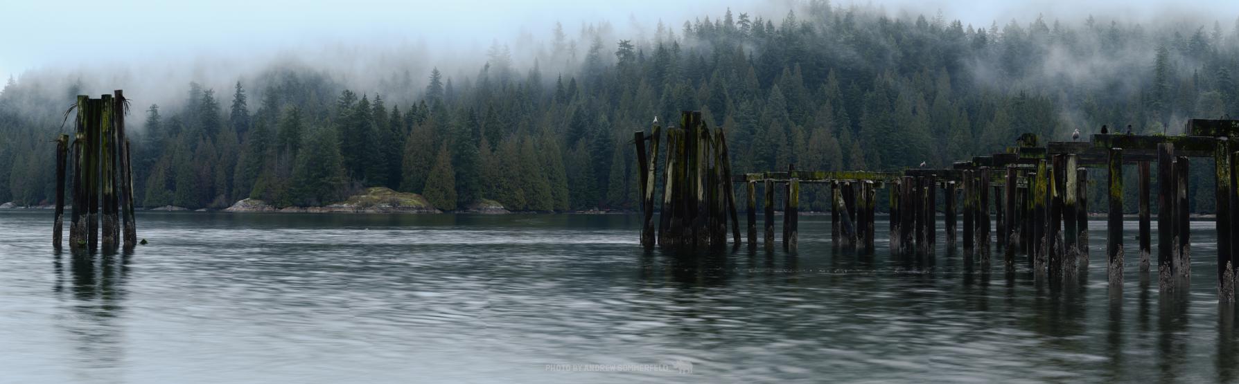 Good Morning, Low Tide by Andrew Sommerfeld