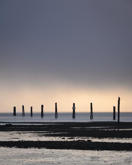 Good Morning, Maplewood Flats by Andrew Sommerfeld