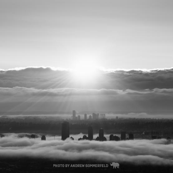 Good Morning, Metrotown by Andrew Sommerfeld