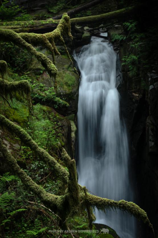 Lower Cypress Falls by Andrew Sommerfeld