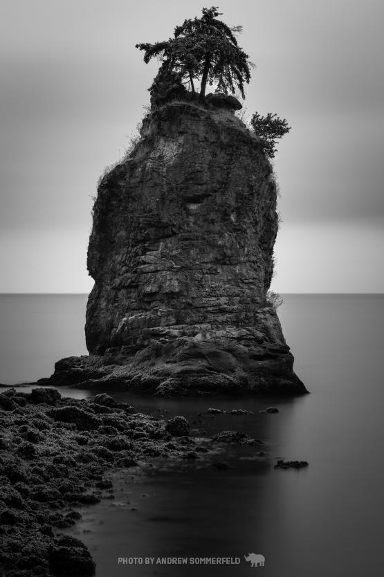 Siwash in Juneuary by Andrew Sommerfeld