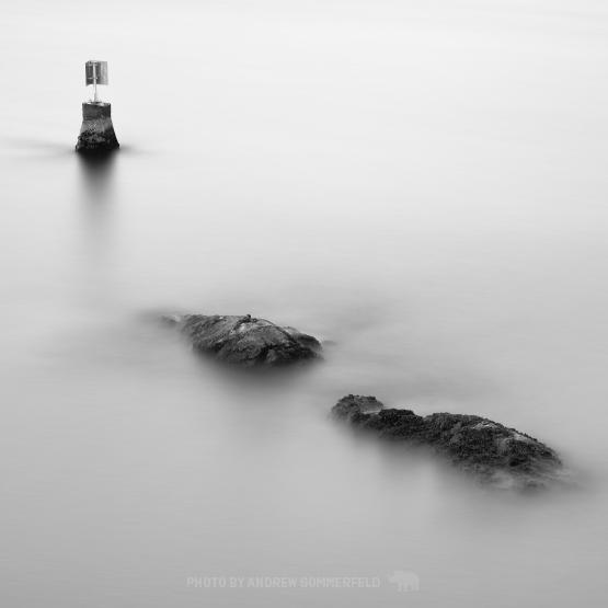 Soft Whyte by Andrew Sommerfeld