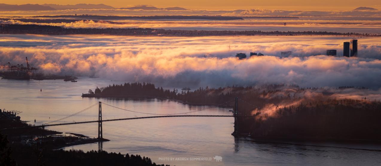 Good Morning, Inversion by Andrew Sommerfeld