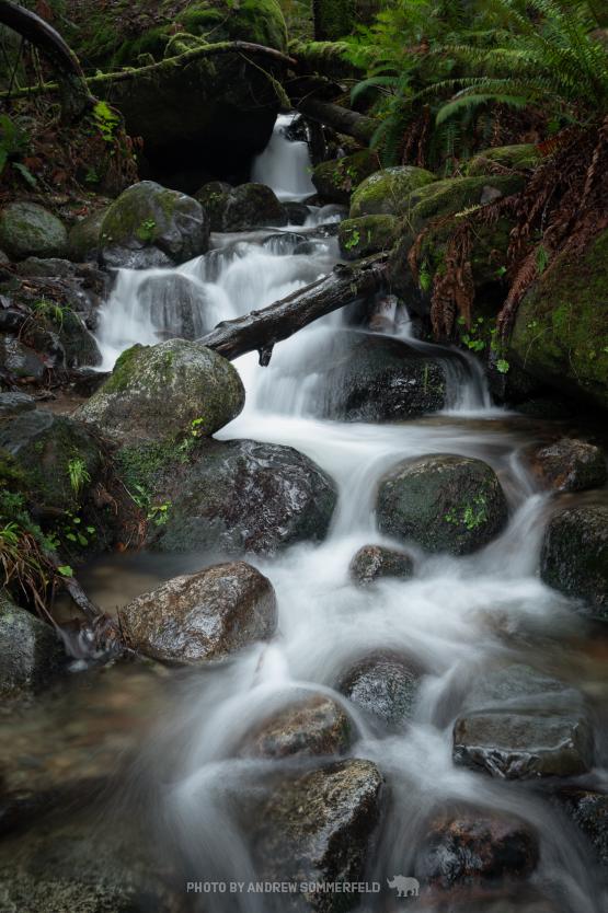 Crystal Flow by Andrew Sommerfeld