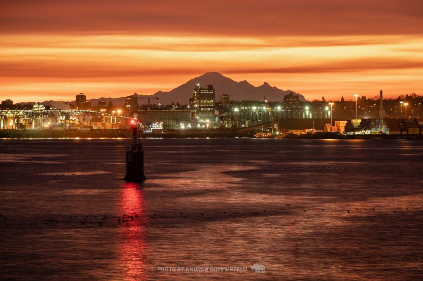 Good Morning, Harbour by Andrew Sommerfeld