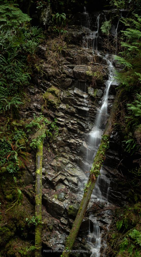 Sheer Green by Andrew Sommerfeld
