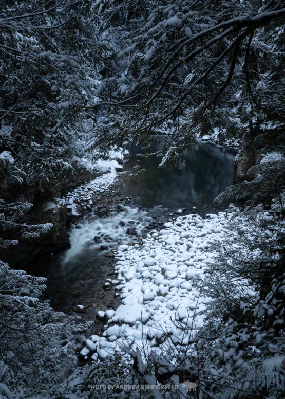 Chilly Capilano by Andrew Sommerfeld