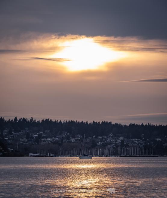 Good Evening, Kits by Andrew Sommerfeld