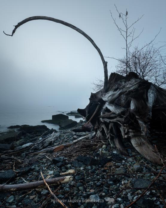 Drift Arc by Andrew Sommerfeld