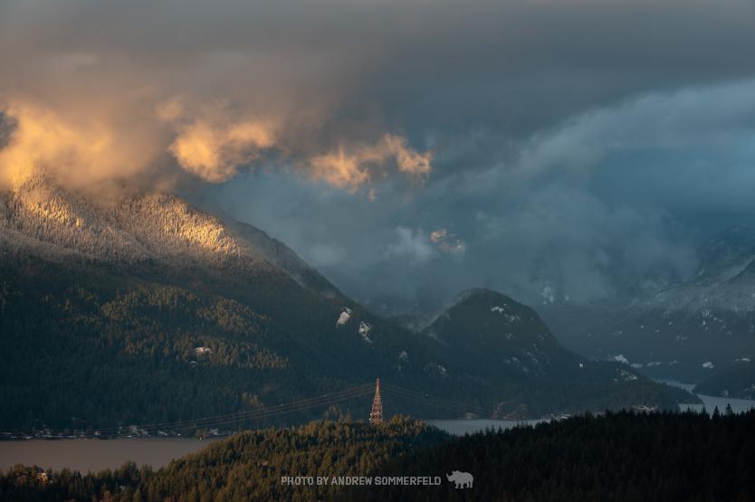 Good Evening, Signal by Andrew Sommerfeld