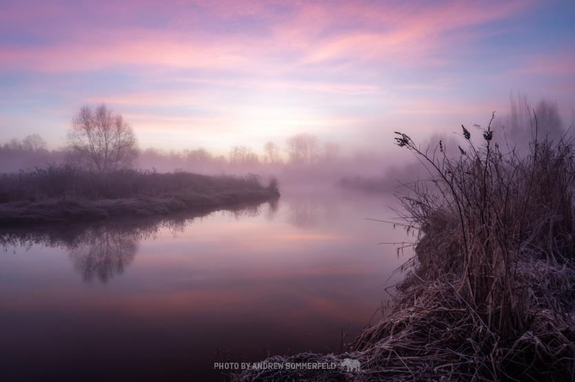 Good Morning, Burnaby Lake by Andrew Sommerfeld
