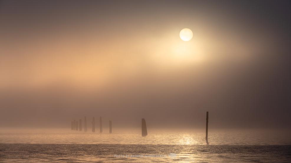 Good Morning, Foggy Flats by Andrew Sommerfeld