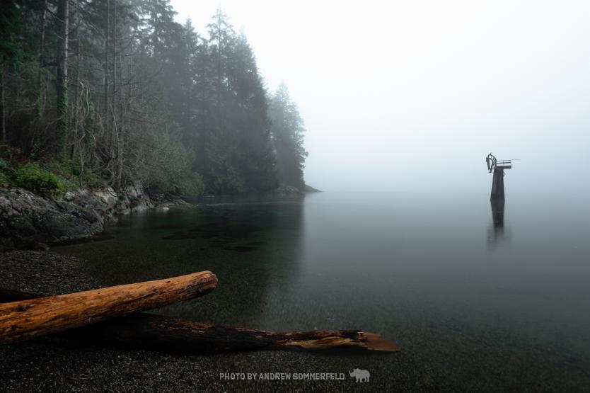 Good Morning, Maple Beach by Andrew Sommerfeld