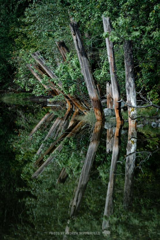 Good Morning, Old Mill Fingers by Andrew Sommerfeld