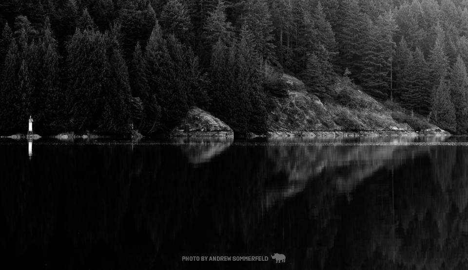 Good Morning, Opposite Shore by Andrew Sommerfeld