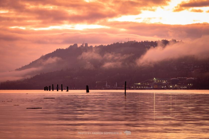 Good Morning, Orange Pinkness by Andrew Sommerfeld
