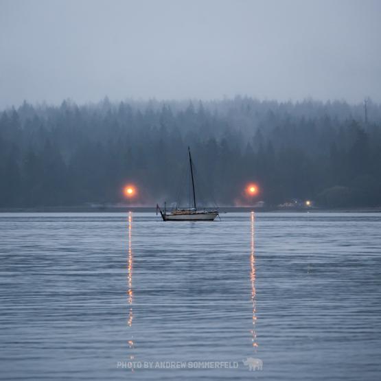 Good Morning, Sail by Andrew Sommerfeld