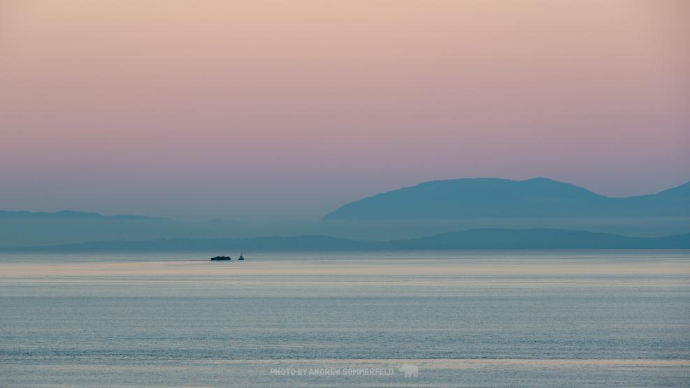 Good Morning, Tug by Andrew Sommerfeld