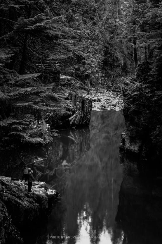 Morning Cast by Andrew Sommerfeld