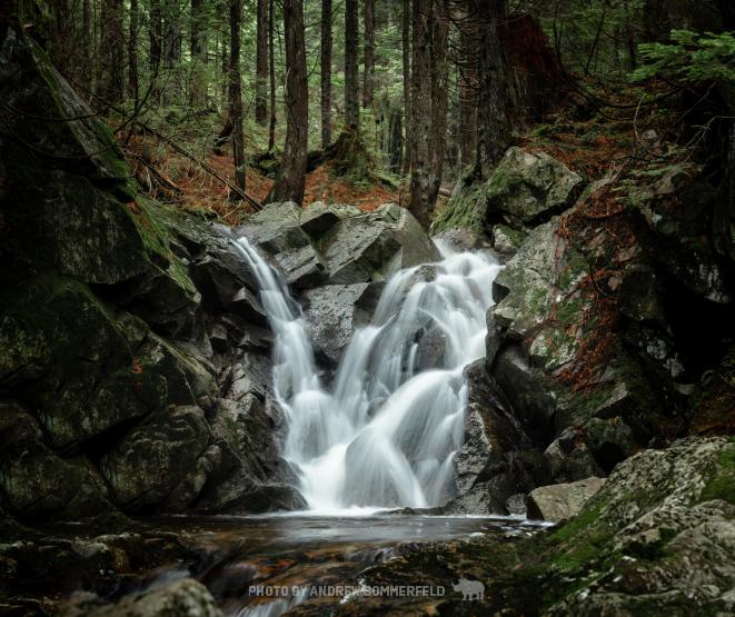 Multiflow by Andrew Sommerfeld