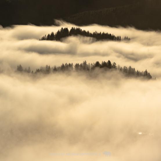 Pender Hill Morning 1 by Andrew Sommerfeld