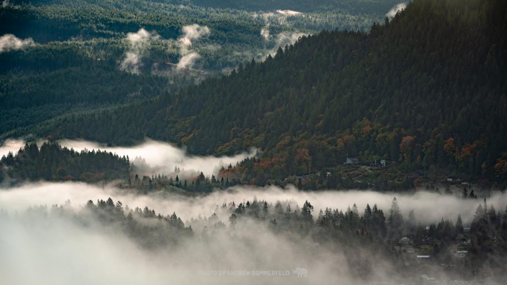 Pender Hill Morning 3 by Andrew Sommerfeld