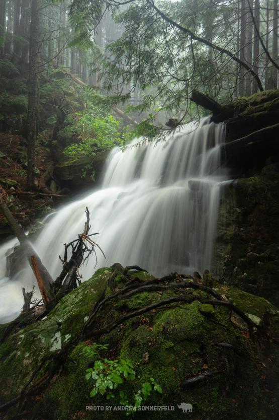 Something Wet by Andrew Sommerfeld